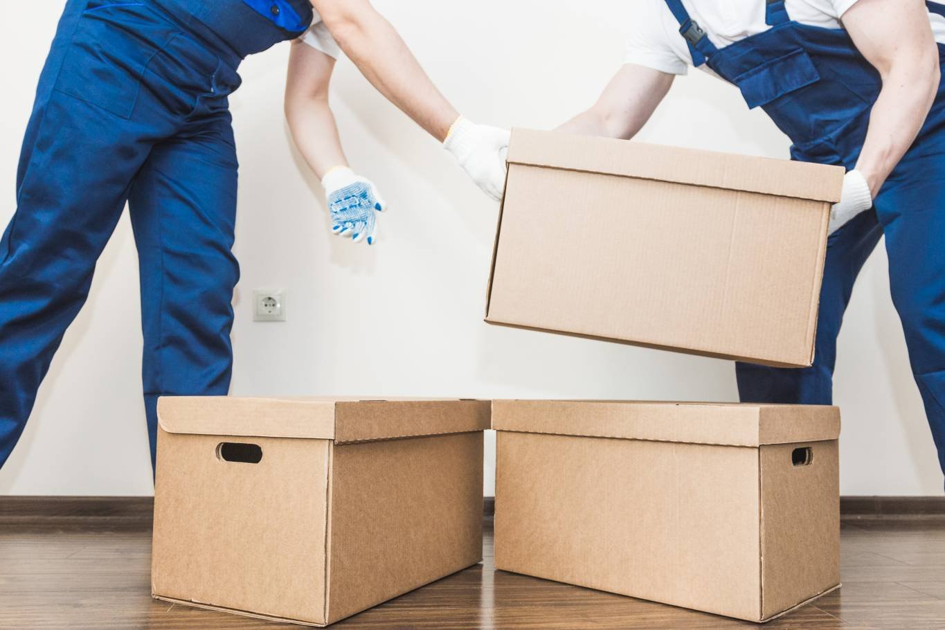 delight-packers-and-movers-UAE